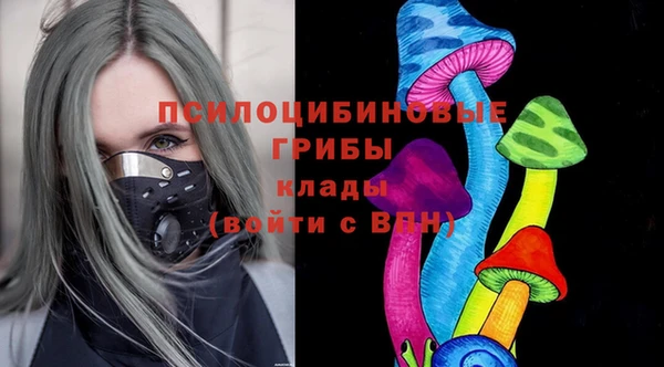 соль ск Алексеевка