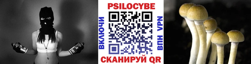 ссылка на мегу сайт  закладки  Нариманов  Галлюциногенные грибы Magic Shrooms 
